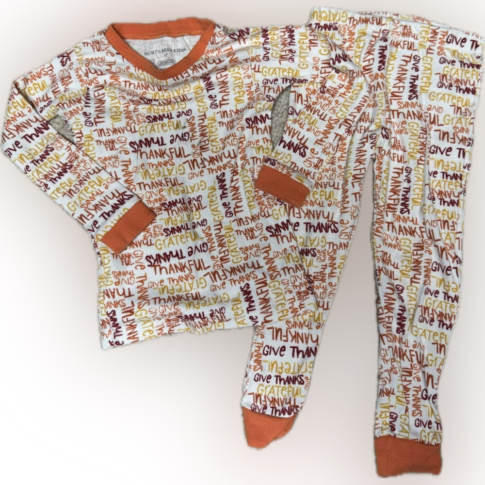 Burt’s Bees 3T Thanksgiving Pajamas